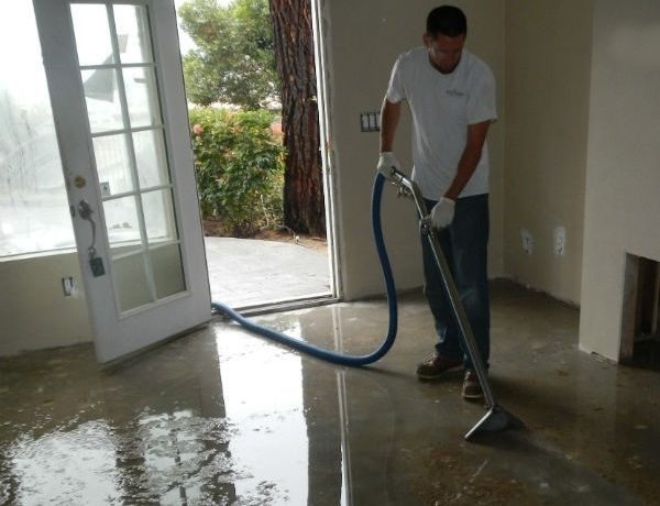 affordable mold removal La Jolla